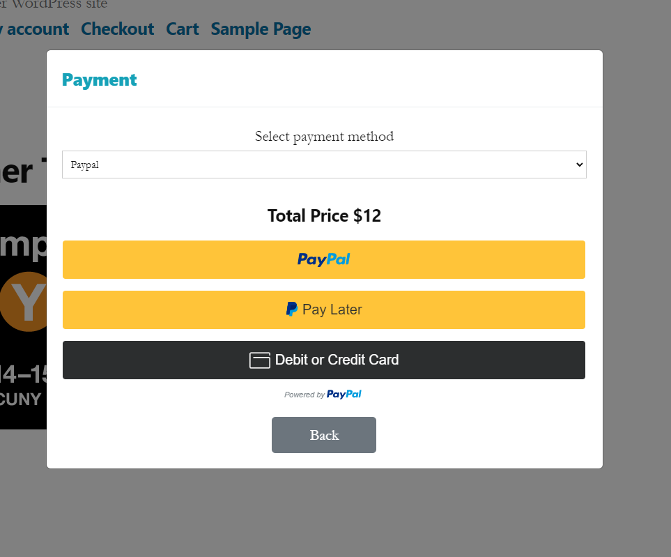 WordPress Gift Voucher  - Voucher Frontend Payment